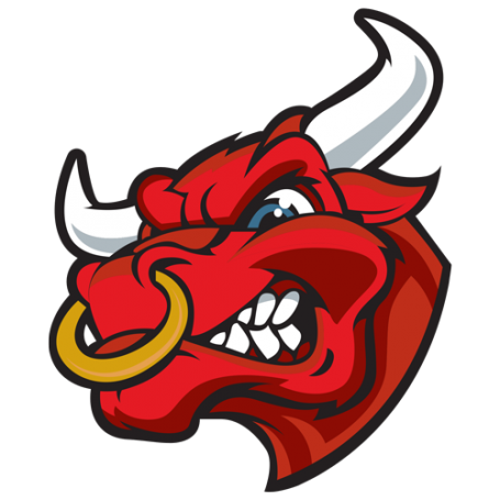 Karingal Bulls Football Netball Club - Karingal Bulls